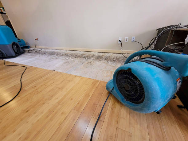 Professional Ceiling Water Damage Repair technician working in Utica, MS